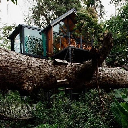 Villa Wilderness Treehouse à Doi Saket Extérieur photo