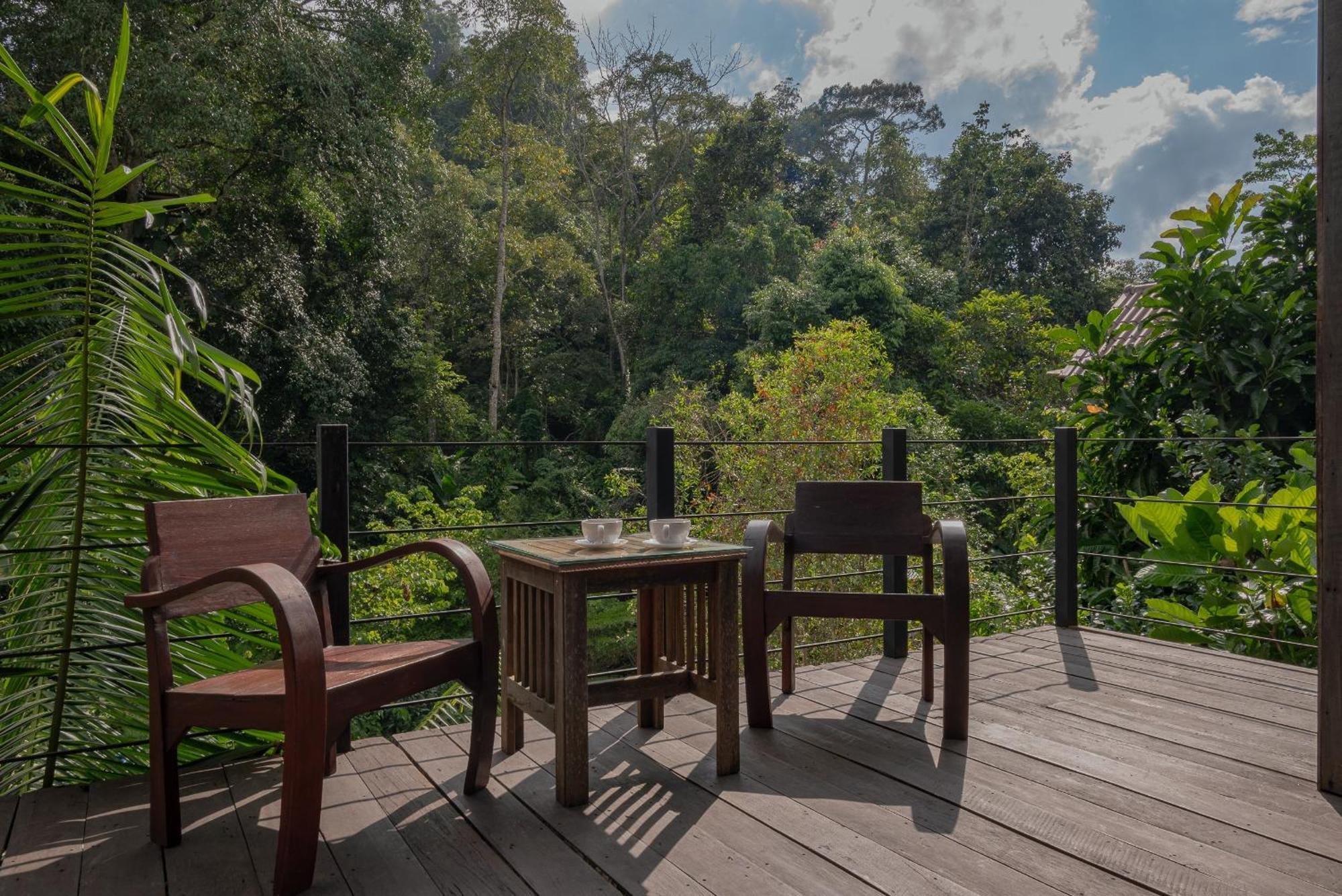 Villa Wilderness Treehouse à Doi Saket Extérieur photo
